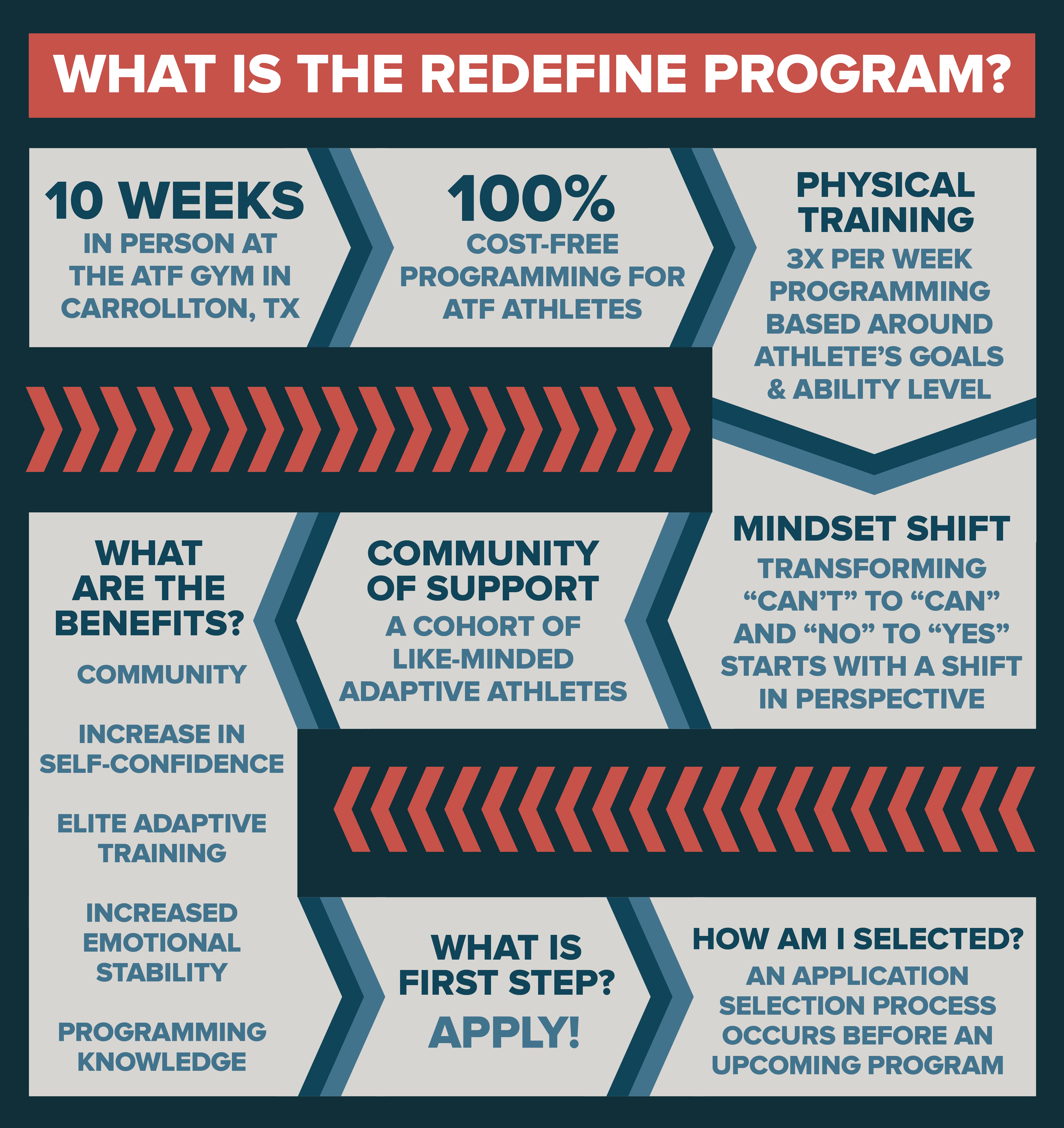 Programming infographic V1