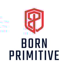 Born-Primitive-NSF