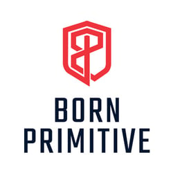 Born-Primitive-NSF